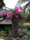Hotel Vila Ombak 